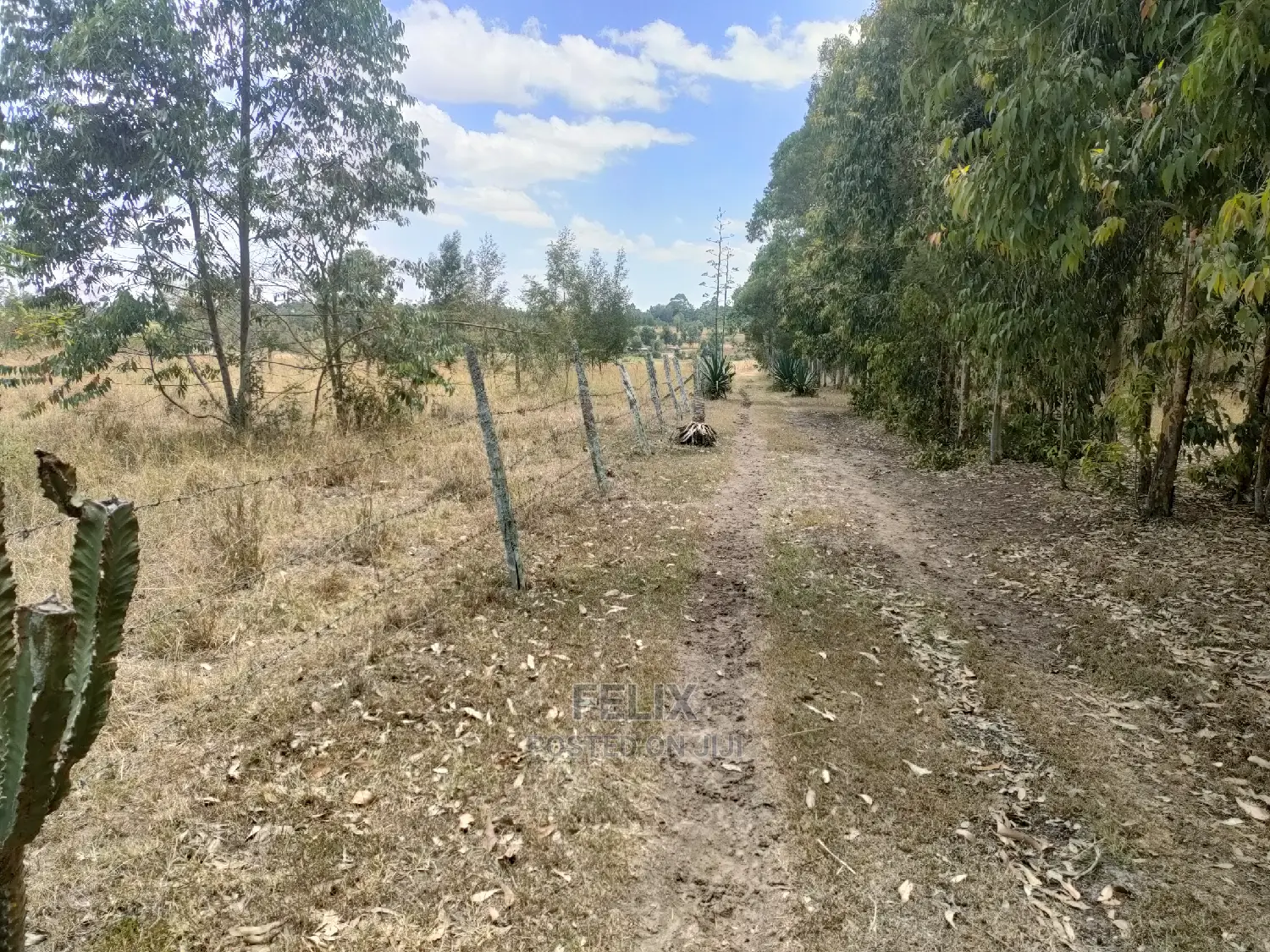 3 Acres Chaka /Munyu