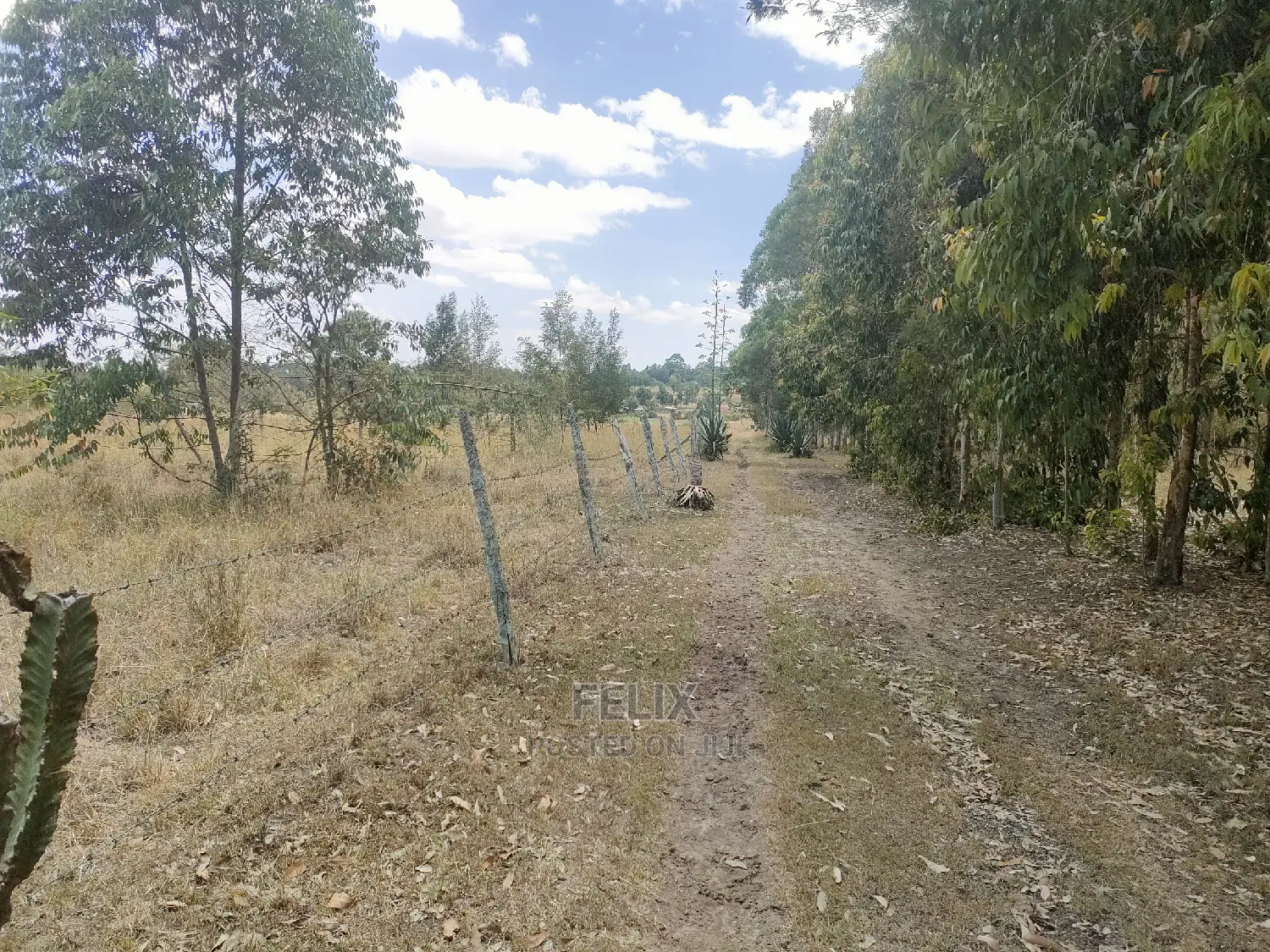 3 Acres Chaka /Munyu