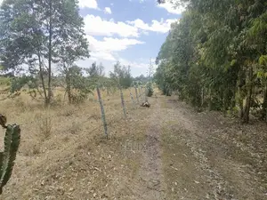 3 Acres Chaka /Munyu