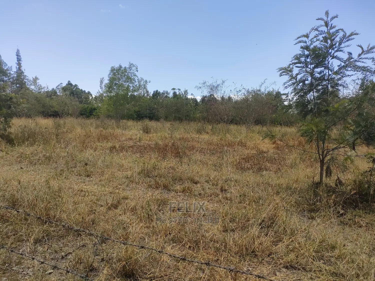 3 Acres Chaka /Munyu