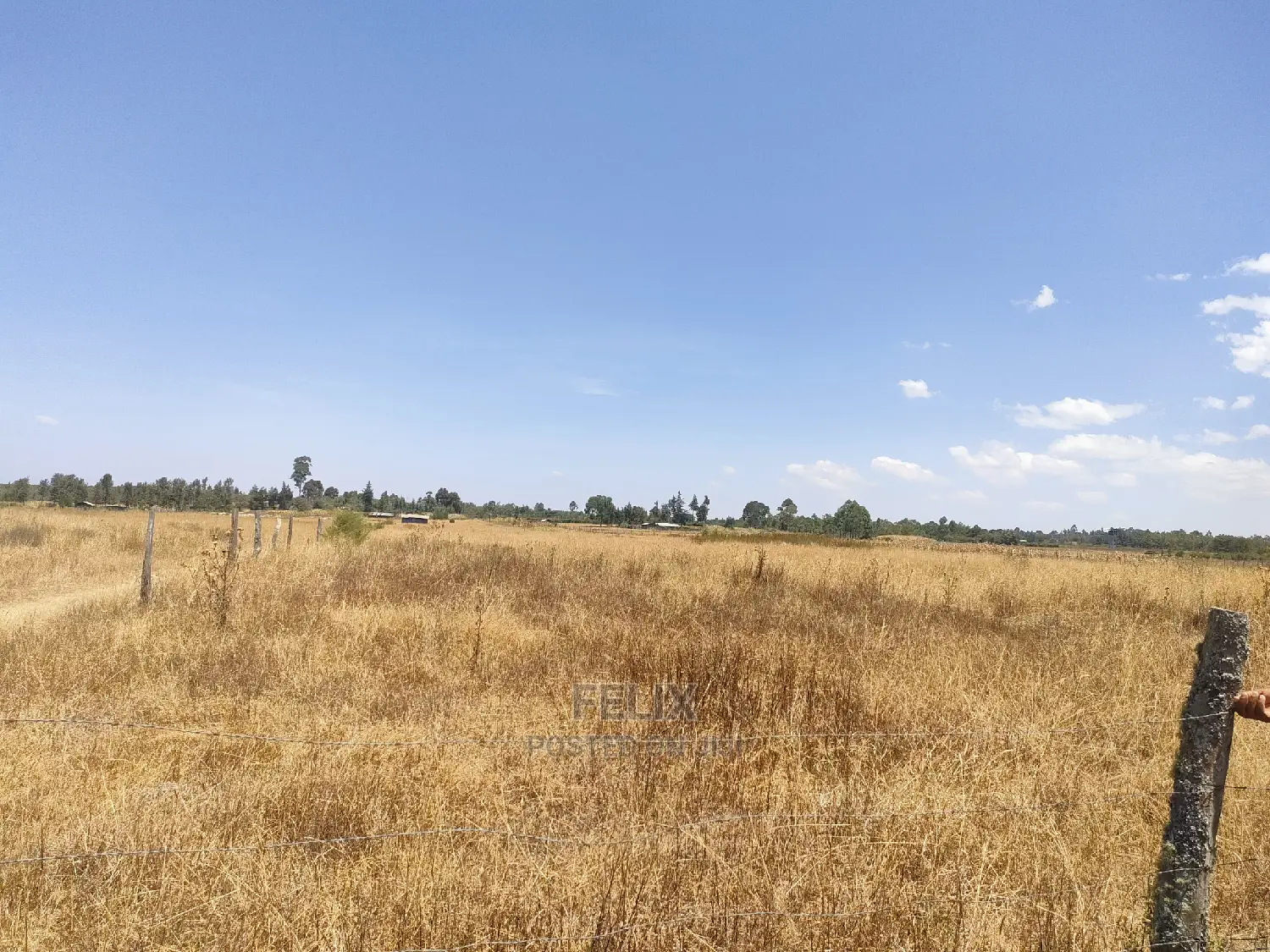 3 Acres Chaka /Munyu