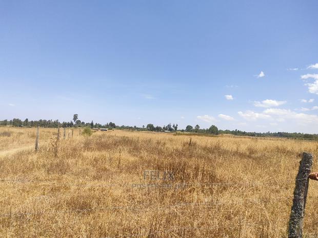 3 Acres Chaka /Munyu - thumbnail 7