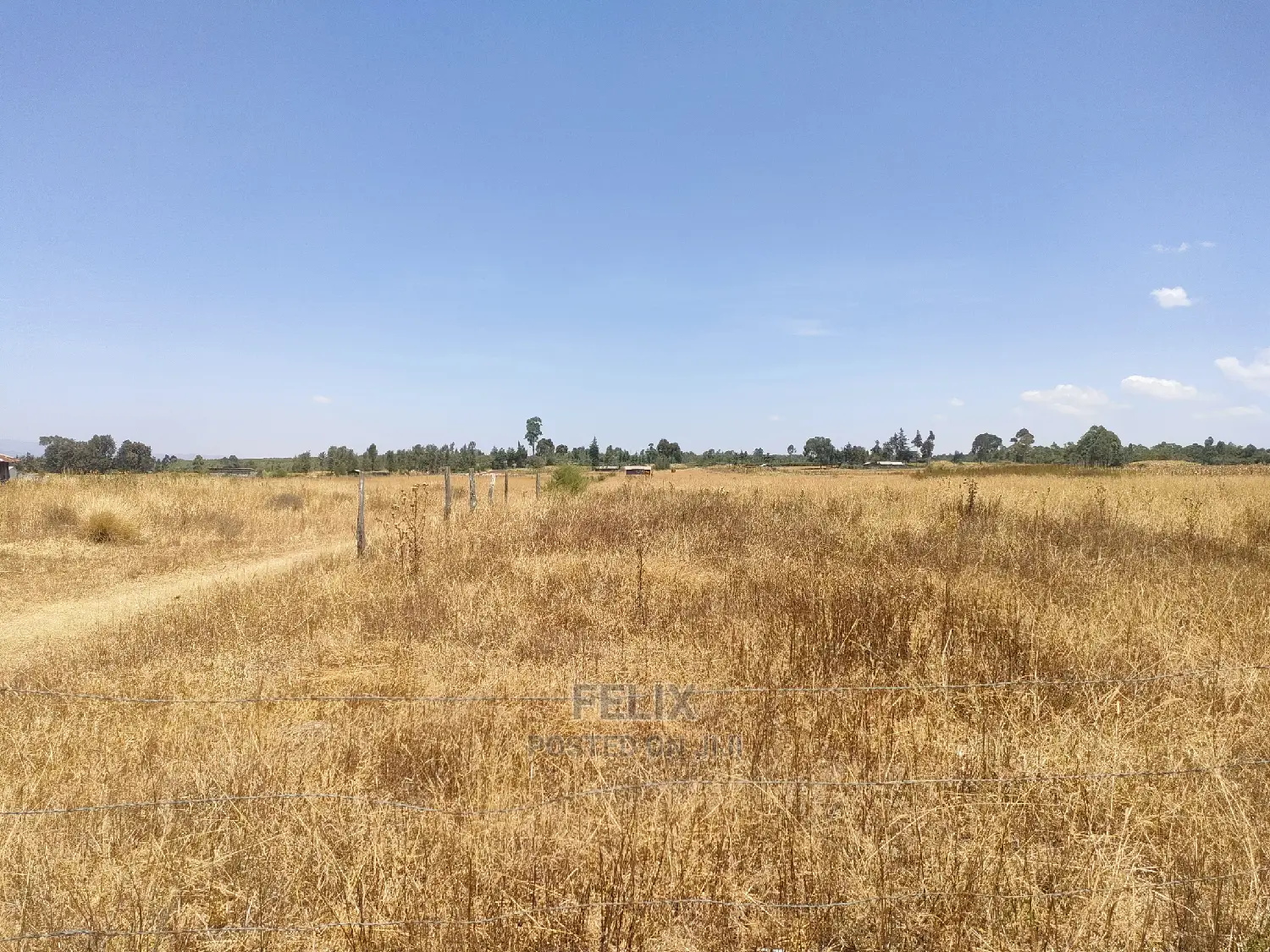 3 Acres Chaka /Munyu