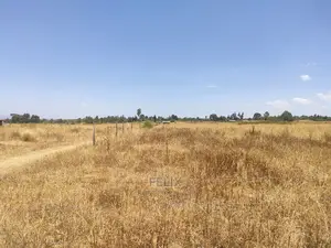 3 Acres Chaka /Munyu