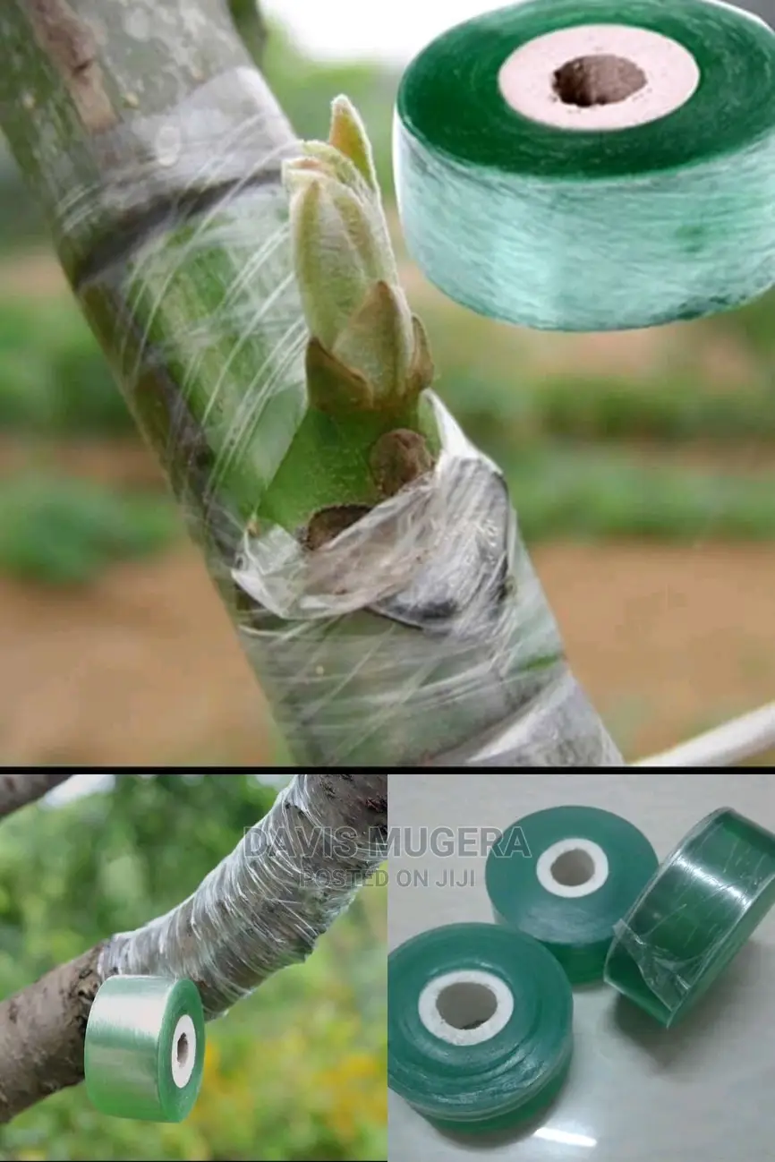 Professional Grafting Tape Grafting Film in Nairobi Central Farm