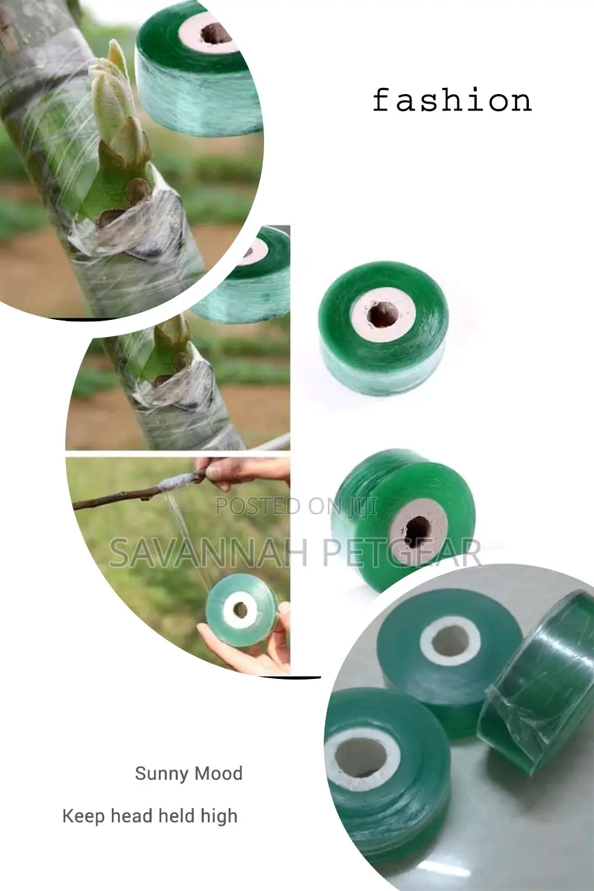Professional Grafting Tape Grafting Film
