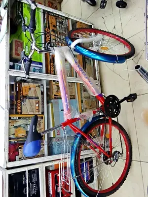 Best Victory Sports Bicycle