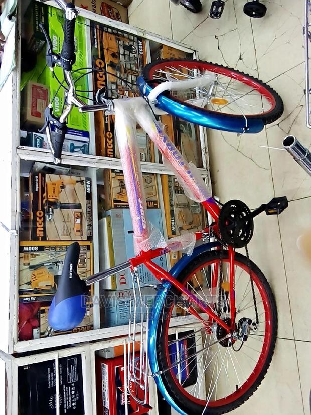 Best Victory Sports Bicycle