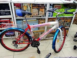 Victory Sports Bicycle With Breaks