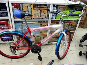 Victory Sports Bicycle With Breaks
