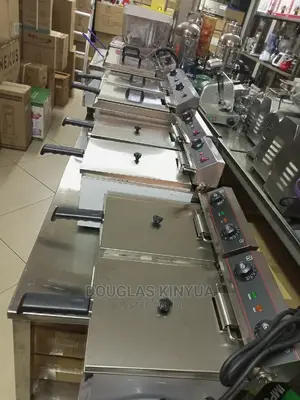 Imported Electric Deep Fryer