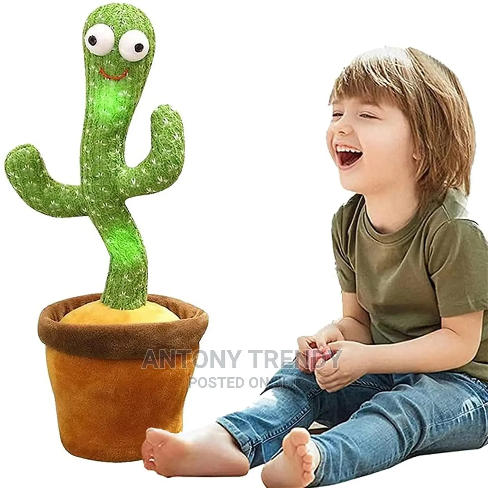 Inging Cactus Recording and Repeat for Education Toys