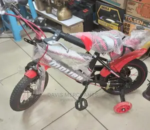 Moloba Size 16 Kids Bike With Training Wheels High Quality