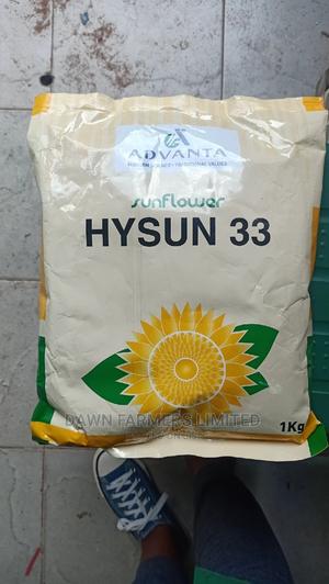 Sunflower 1kg - main view