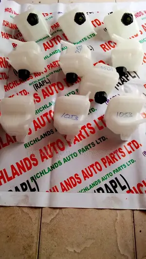 Nissan Dualis Coolant Tank/ Battle