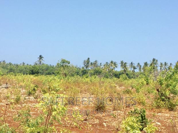 3 Acres for Sale in Kikambala Each 7M 2nd Row - thumbnail 4