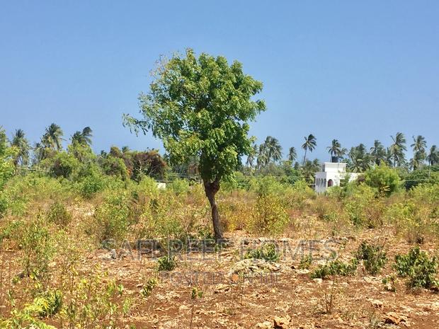 3 Acres for Sale in Kikambala Each 7M 2nd Row - thumbnail 5