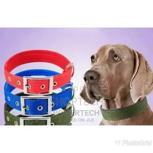 Dog Collar Brand New