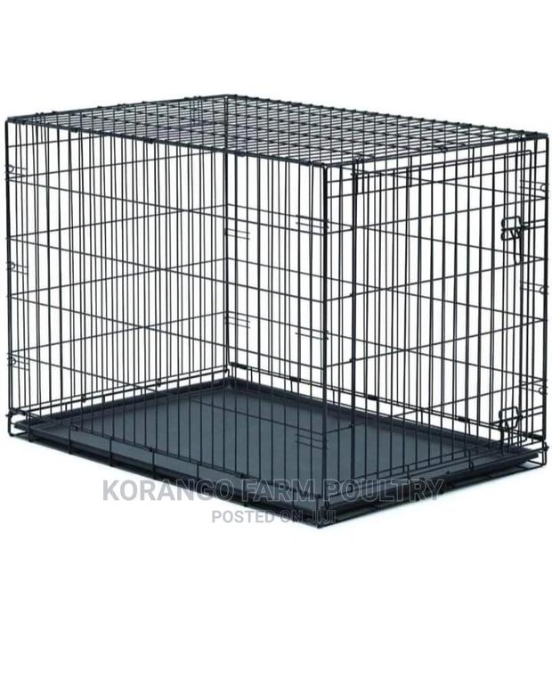 Puppies Dog Cages