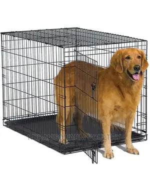 6 Months Puppies Dog Cages