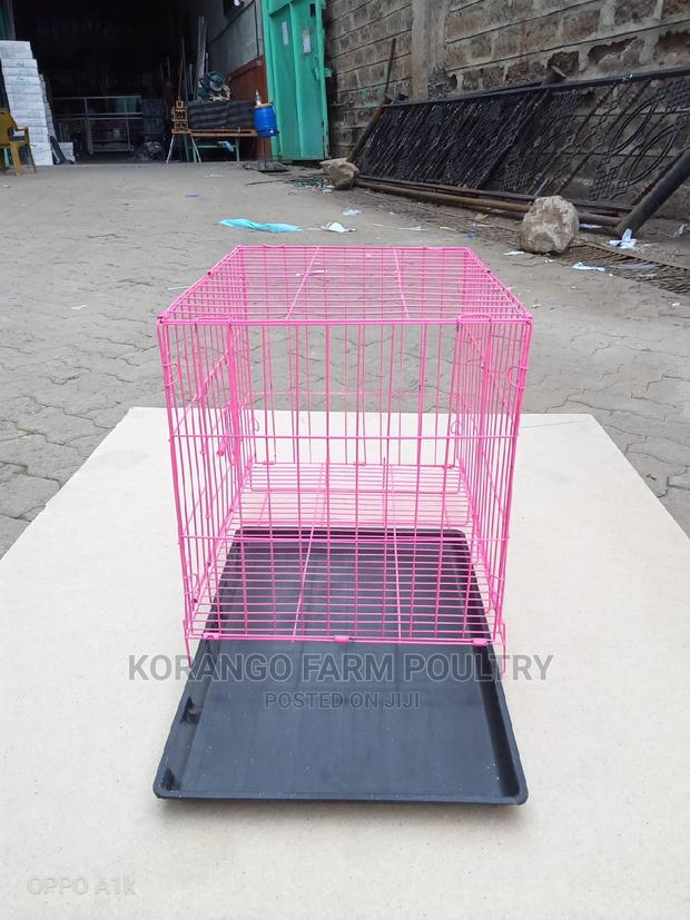 Rabbit Dogs Foldable Cages - main view