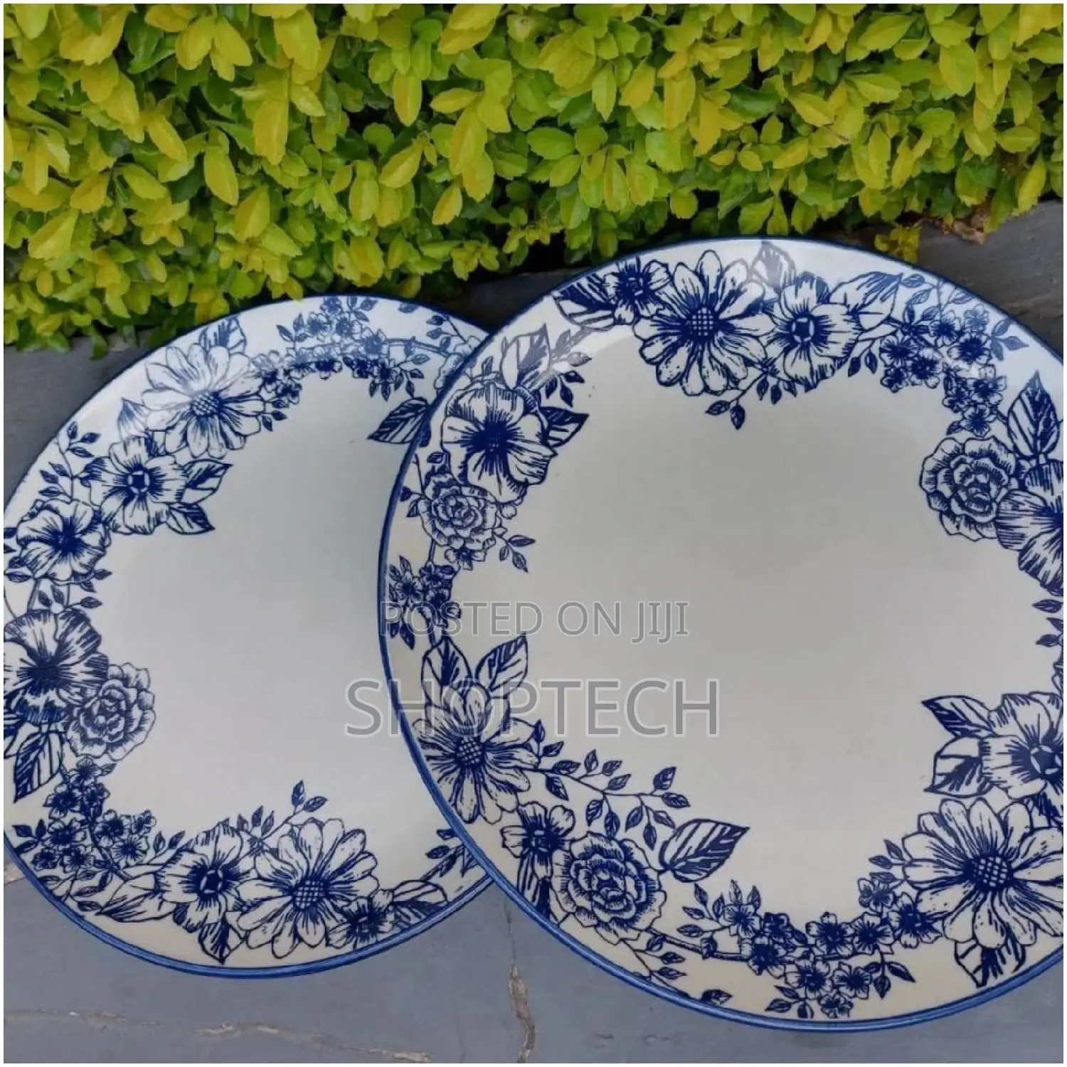 Dinner Plates. 6 Pieces