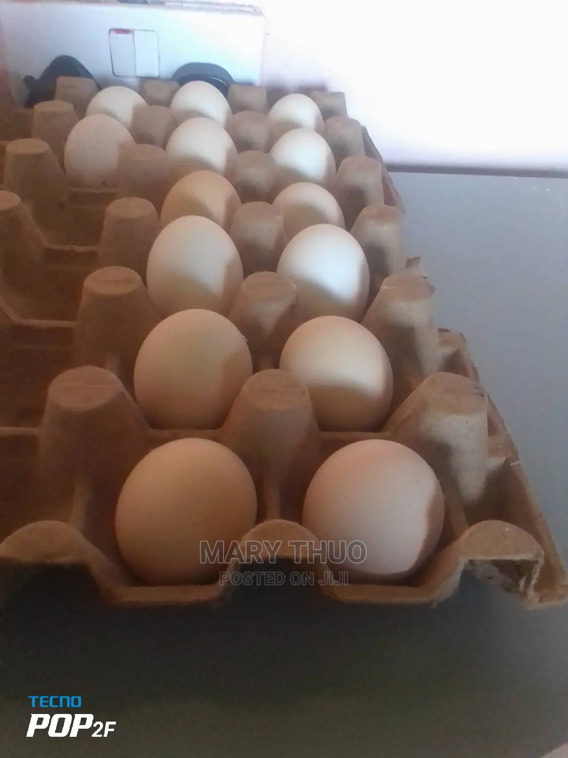 Silky Eggs