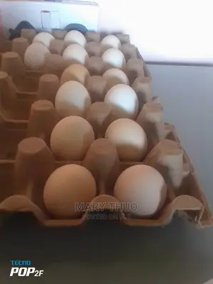 Silky Eggs