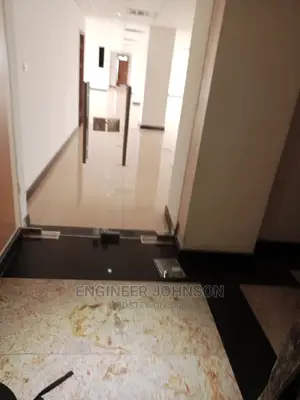 Frameless Glass Door