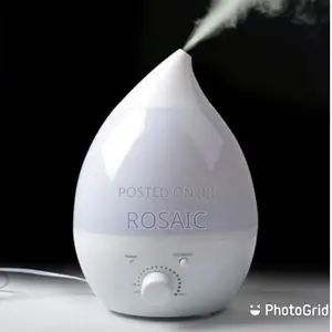 2.4 Litres Humidifier
