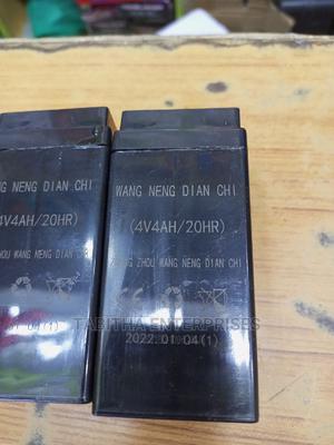 Digital Scale Battery - main view