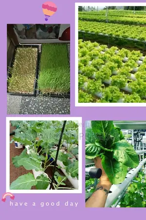 Original Hydroponic Fodder Nutrients Hydroponic Fertilizer