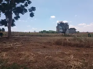 40x80 Plot for Sale Tinganga Anmer Next to Migaa Estate.