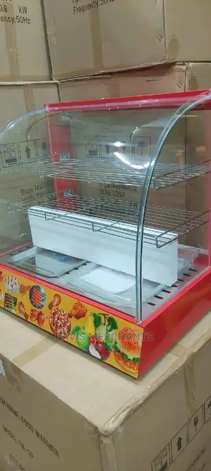 Low Power Consumer Food Warmer With 3