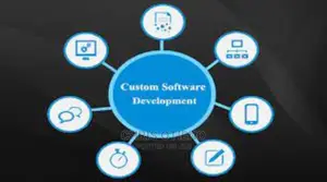 Custom Software Development