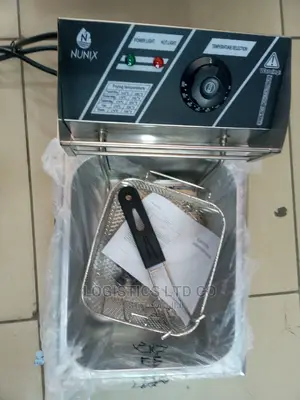 Electric Fryer
