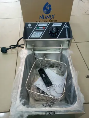 Electric Fryer