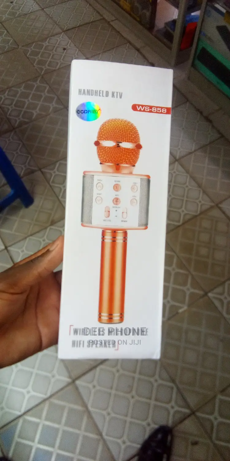 Karaoke Wireless Microphone