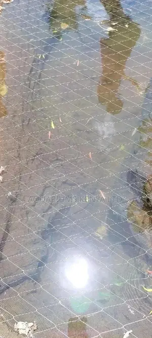Luminous Fish,Danio