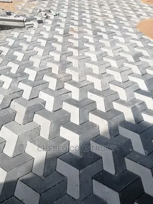 3 D Arrow Cabro Pavers