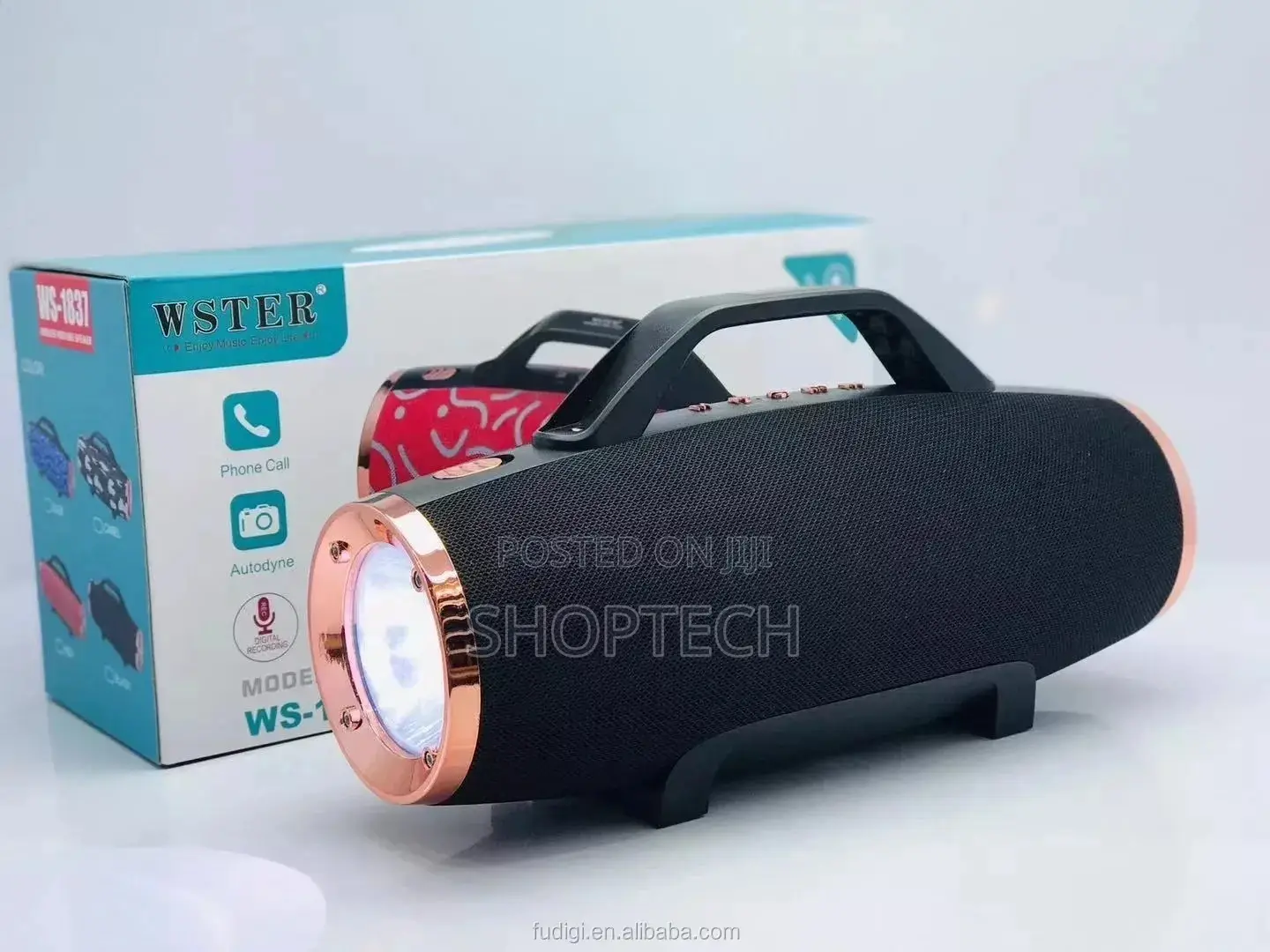 Wireless Speaker With Torch,Radio,Usb ,BT
