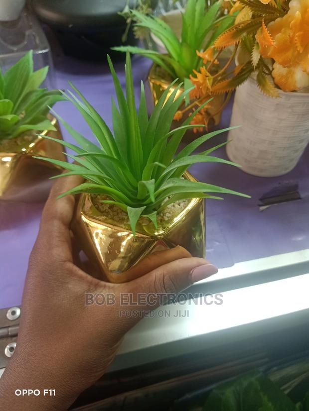 Artificial Succulents With Gold Pot - thumbnail 3