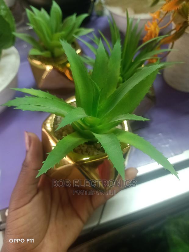 Artificial Succulents With Gold Pot