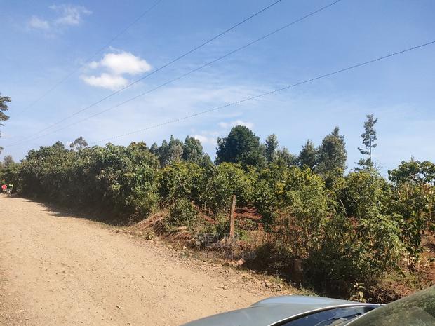 Nyeri/Marua Kahiga Plots - main view