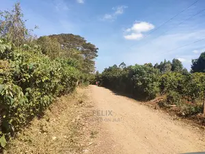 Nyeri/Marua Kahiga Plots