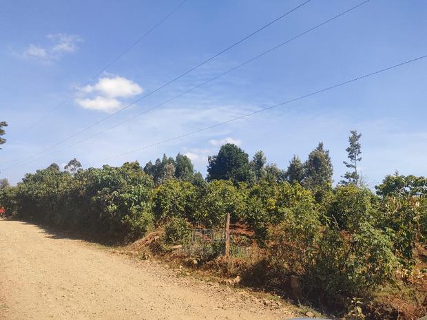 Nyeri/Marua Kahiga Plots - thumbnail 4