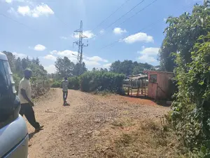Nyeri/Marua Kahiga Plots