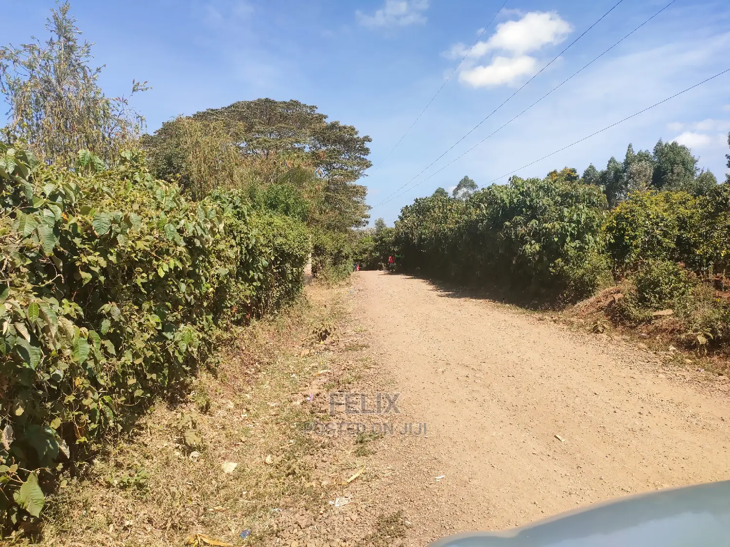 Nyeri/Marua Kahiga Plots
