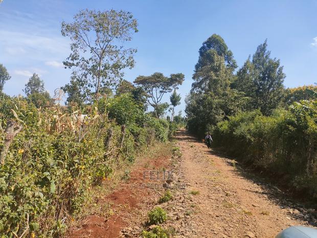 Nyeri/Marua Kahiga Plots - thumbnail 8