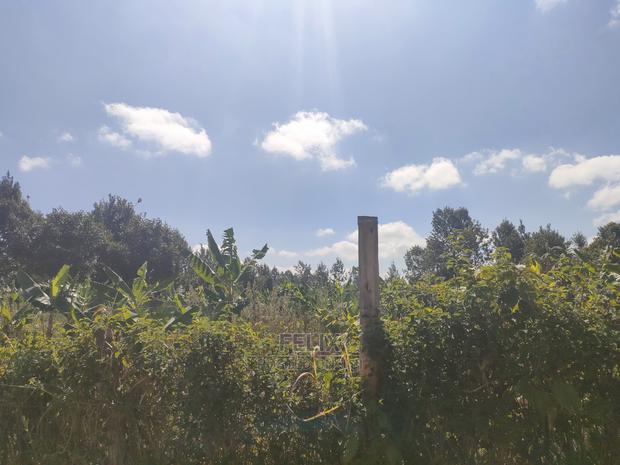 Nyeri/Marua Kahiga Plots - thumbnail 9